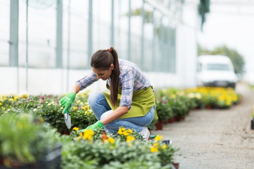 Volunteer charity group collecting usable garden materials for reuse