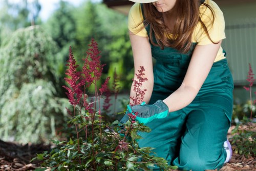 Customer reviewing turf and taking photo of lawn