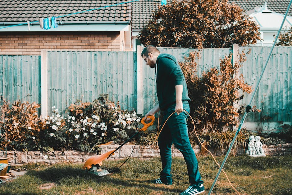 A gardener's hands holding hedge shears, trimming a dense, green hedge along a garden border in a well-maintained outdoor space. The hedge is composed of small, glossy leaves, with some areas already 
